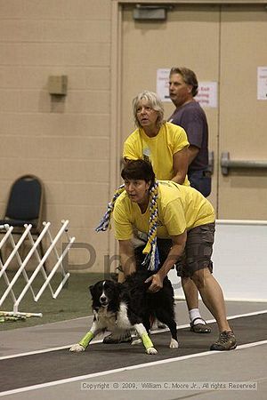 Dawg Derby Flyball Tournement<br />July 12, 2009<br />Classic Center<br />Athens, Ga