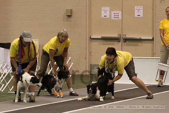 Dawg Derby Flyball Tournement<br />July 12, 2009<br />Classic Center<br />Athens, Ga