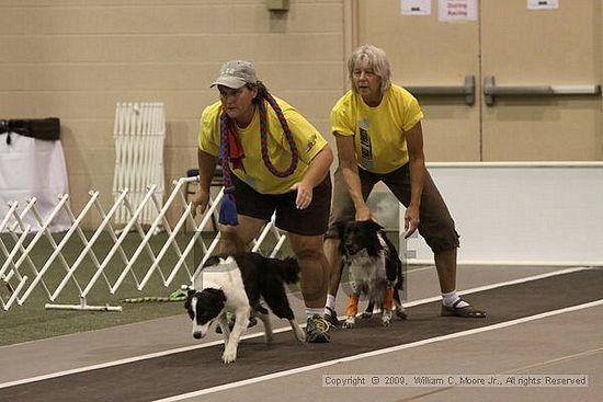 Dawg Derby Flyball Tournement<br />July 12, 2009<br />Classic Center<br />Athens, Ga