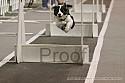 img_0799_thm.jpg