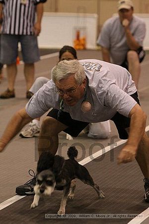 Dawg Derby Flyball Tournement<br />July 12, 2009<br />Classic Center<br />Athens, Ga