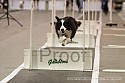 img_0837_thm.jpg