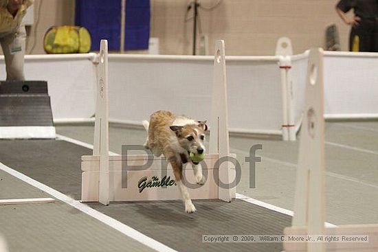 Dawg Derby Flyball Tournement<br />July 12, 2009<br />Classic Center<br />Athens, Ga