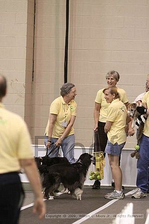 Dawg Derby Flyball Tournement<br />July 12, 2009<br />Classic Center<br />Athens, Ga