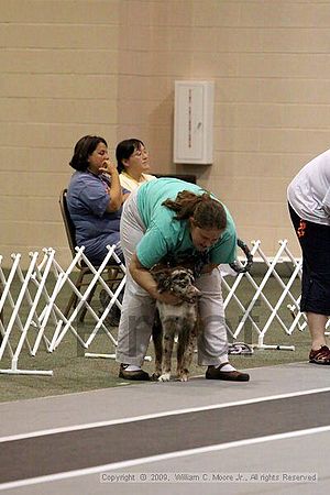 Dawg Derby Flyball Tournement<br />July 12, 2009<br />Classic Center<br />Athens, Ga