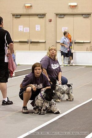 Dawg Derby Flyball Tournement<br />July 12, 2009<br />Classic Center<br />Athens, Ga