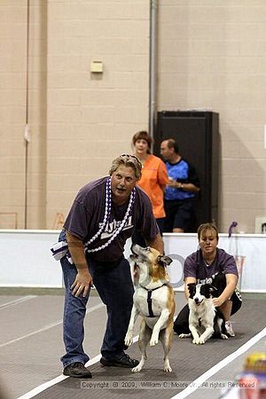 Dawg Derby Flyball Tournement<br />July 12, 2009<br />Classic Center<br />Athens, Ga