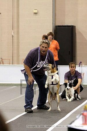 Dawg Derby Flyball Tournement<br />July 12, 2009<br />Classic Center<br />Athens, Ga