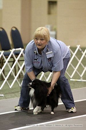 Dawg Derby Flyball Tournement<br />July 12, 2009<br />Classic Center<br />Athens, Ga