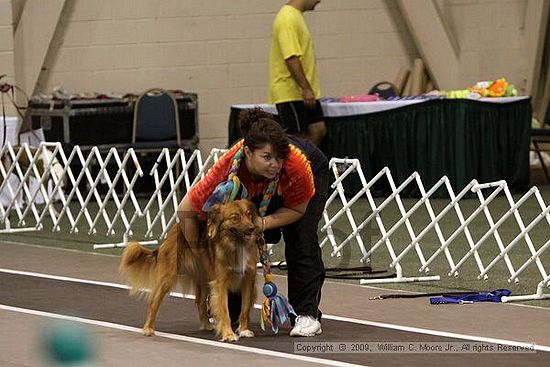 Dawg Derby Flyball Tournement<br />July 12, 2009<br />Classic Center<br />Athens, Ga