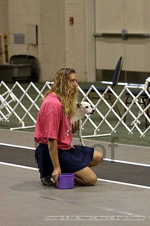 Dawg Derby Flyball Tournement<br />July 12, 2009<br />Classic Center<br />Athens, Ga