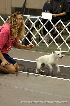 Dawg Derby Flyball Tournement<br />July 12, 2009<br />Classic Center<br />Athens, Ga