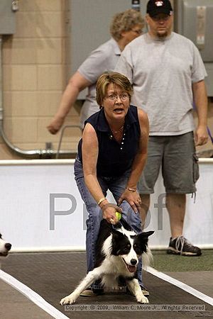 Dawg Derby Flyball Tournement<br />July 12, 2009<br />Classic Center<br />Athens, Ga