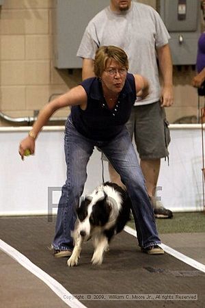 Dawg Derby Flyball Tournement<br />July 12, 2009<br />Classic Center<br />Athens, Ga