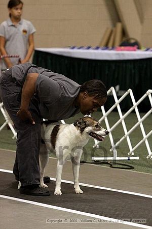 Dawg Derby Flyball Tournement<br />July 12, 2009<br />Classic Center<br />Athens, Ga