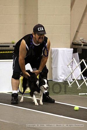 Dawg Derby Flyball Tournement<br />July 12, 2009<br />Classic Center<br />Athens, Ga