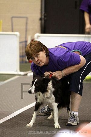 Dawg Derby Flyball Tournement<br />July 12, 2009<br />Classic Center<br />Athens, Ga