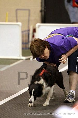 Dawg Derby Flyball Tournement<br />July 12, 2009<br />Classic Center<br />Athens, Ga