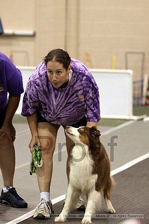 Dawg Derby Flyball Tournement<br />July 12, 2009<br />Classic Center<br />Athens, Ga