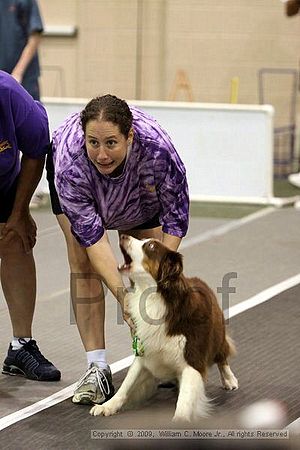 Dawg Derby Flyball Tournement<br />July 12, 2009<br />Classic Center<br />Athens, Ga