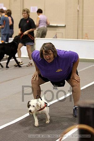 Dawg Derby Flyball Tournement<br />July 12, 2009<br />Classic Center<br />Athens, Ga