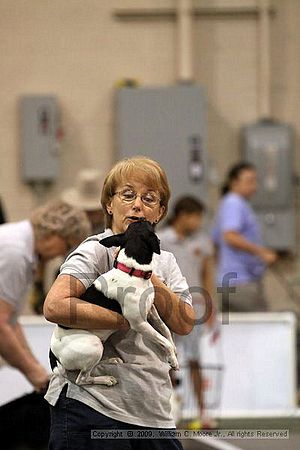 Dawg Derby Flyball Tournement<br />July 12, 2009<br />Classic Center<br />Athens, Ga