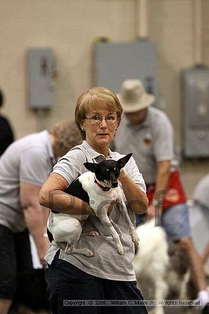 Dawg Derby Flyball Tournement<br />July 12, 2009<br />Classic Center<br />Athens, Ga