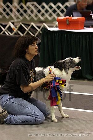 Dawg Derby Flyball Tournement<br />July 12, 2009<br />Classic Center<br />Athens, Ga