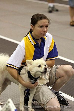 Dawg Derby Flyball Tournement<br />July 12, 2009<br />Classic Center<br />Athens, Ga