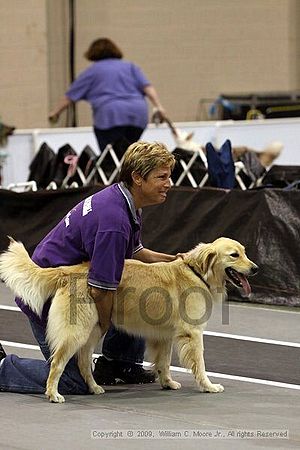 Dawg Derby Flyball Tournement<br />July 12, 2009<br />Classic Center<br />Athens, Ga