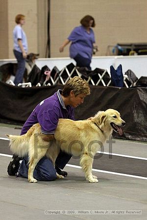 Dawg Derby Flyball Tournement<br />July 12, 2009<br />Classic Center<br />Athens, Ga