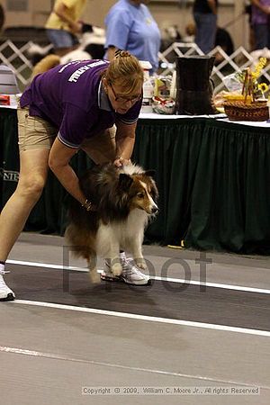 Dawg Derby Flyball Tournement<br />July 12, 2009<br />Classic Center<br />Athens, Ga