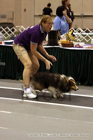 Dawg Derby Flyball Tournement<br />July 12, 2009<br />Classic Center<br />Athens, Ga