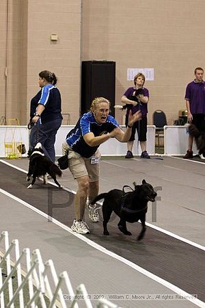 Dawg Derby Flyball Tournement<br />July 12, 2009<br />Classic Center<br />Athens, Ga