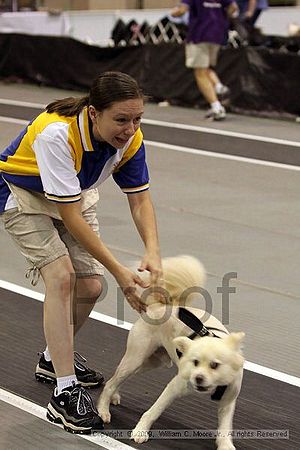 Dawg Derby Flyball Tournement<br />July 12, 2009<br />Classic Center<br />Athens, Ga