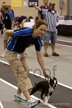 Dawg Derby Flyball Tournement<br />July 12, 2009<br />Classic Center<br />Athens, Ga