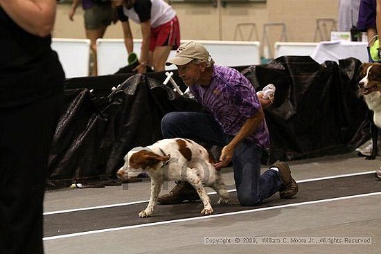 Dawg Derby Flyball Tournement<br />July 12, 2009<br />Classic Center<br />Athens, Ga