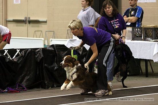 Dawg Derby Flyball Tournement<br />July 12, 2009<br />Classic Center<br />Athens, Ga