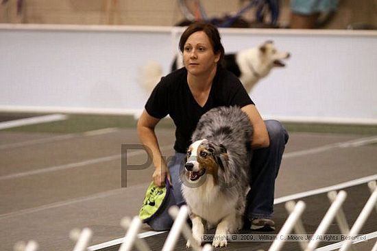 Dawg Derby Flyball Tournement<br />July 12, 2009<br />Classic Center<br />Athens, Ga