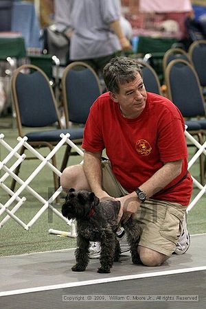 Dawg Derby Flyball Tournement<br />July 12, 2009<br />Classic Center<br />Athens, Ga