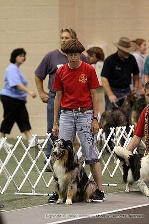 Dawg Derby Flyball Tournement<br />July 12, 2009<br />Classic Center<br />Athens, Ga