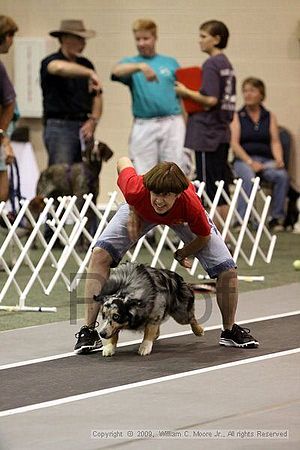 Dawg Derby Flyball Tournement<br />July 12, 2009<br />Classic Center<br />Athens, Ga