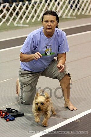 Dawg Derby Flyball Tournement<br />July 12, 2009<br />Classic Center<br />Athens, Ga