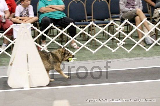 Dawg Derby Flyball Tournement<br />July 12, 2009<br />Classic Center<br />Athens, Ga