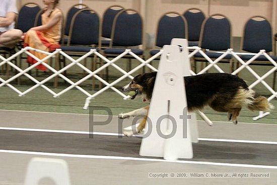 Dawg Derby Flyball Tournement<br />July 12, 2009<br />Classic Center<br />Athens, Ga