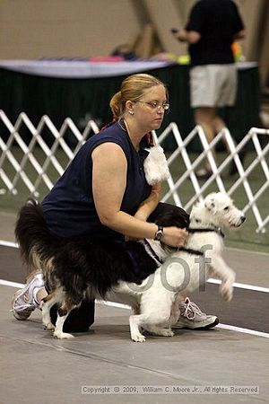 Dawg Derby Flyball Tournement<br />July 12, 2009<br />Classic Center<br />Athens, Ga