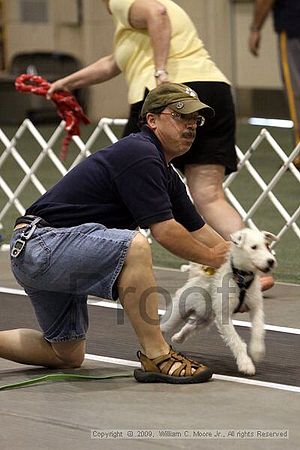 Dawg Derby Flyball Tournement<br />July 12, 2009<br />Classic Center<br />Athens, Ga