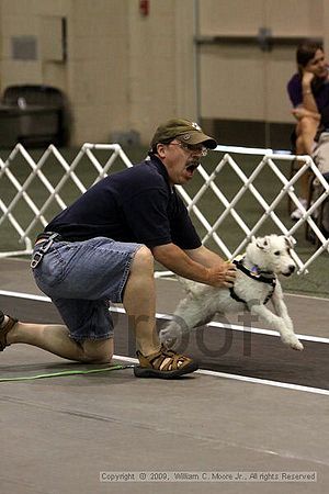 Dawg Derby Flyball Tournement<br />July 12, 2009<br />Classic Center<br />Athens, Ga