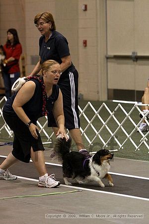 Dawg Derby Flyball Tournement<br />July 12, 2009<br />Classic Center<br />Athens, Ga