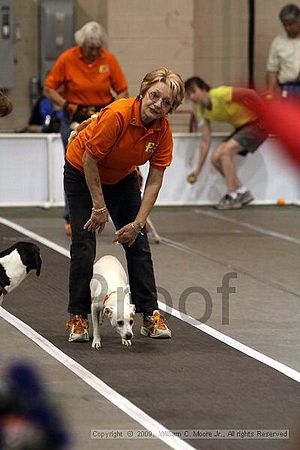 Dawg Derby Flyball Tournement<br />July 12, 2009<br />Classic Center<br />Athens, Ga